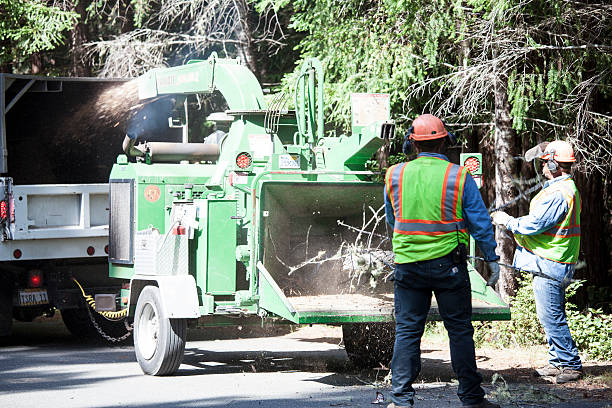 Best Seasonal Cleanup (Spring/Fall)  in Plattsmouth, NE